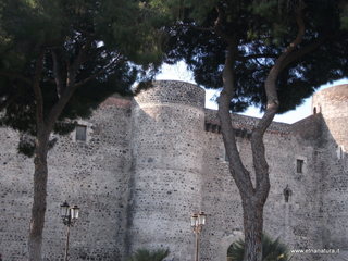 stello Ursino-12-03-2014 08-45-56